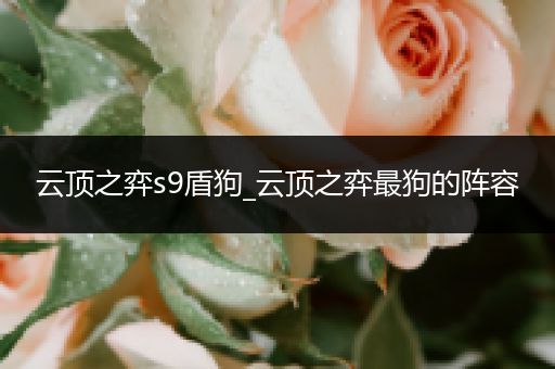 云顶之弈s9盾狗_云顶之弈最狗的阵容