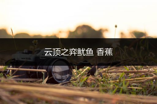 云顶之弈鱿鱼 香蕉