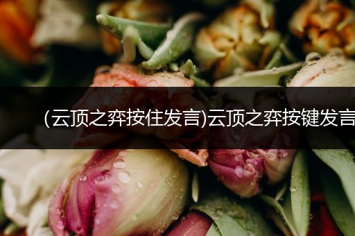 （云顶之弈按住发言)云顶之弈按键发言