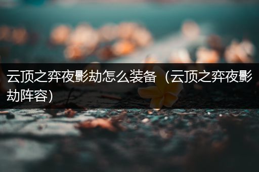 云顶之弈夜影劫怎么装备（云顶之弈夜影劫阵容）