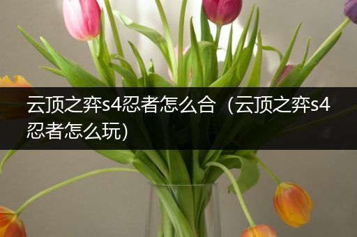 云顶之弈s4忍者怎么合（云顶之弈s4忍者怎么玩）