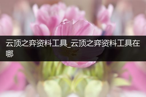云顶之弈资料工具_云顶之弈资料工具在哪