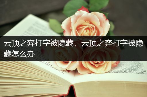 云顶之弈打字被隐藏，云顶之弈打字被隐藏怎么办