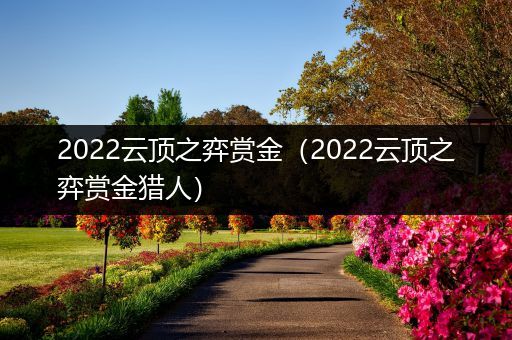 2022云顶之弈赏金（2022云顶之弈赏金猎人）