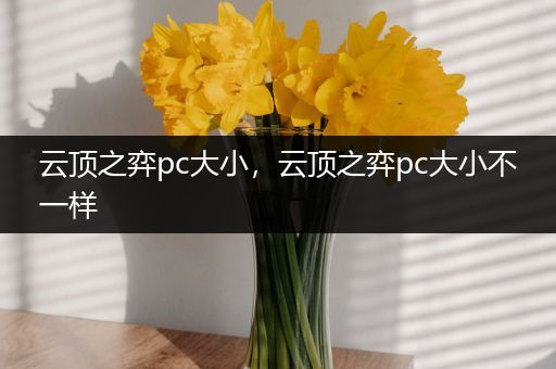 云顶之弈pc大小，云顶之弈pc大小不一样