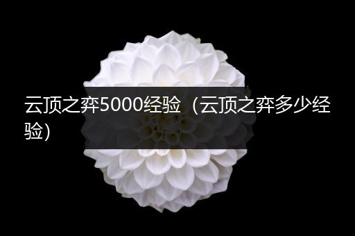 云顶之弈5000经验（云顶之弈多少经验）