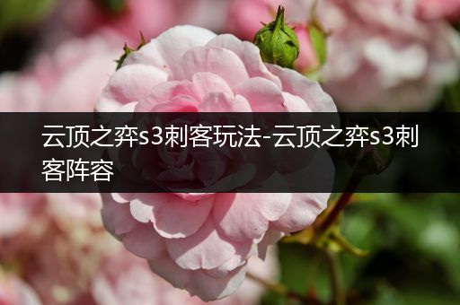 云顶之弈s3刺客玩法-云顶之弈s3刺客阵容