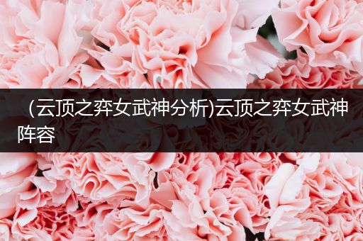 （云顶之弈女武神分析)云顶之弈女武神阵容