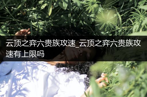 云顶之弈六贵族攻速_云顶之弈六贵族攻速有上限吗