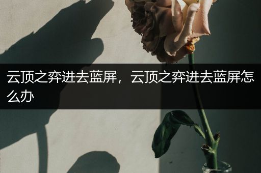 云顶之弈进去蓝屏，云顶之弈进去蓝屏怎么办