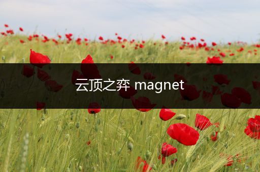 云顶之弈 magnet