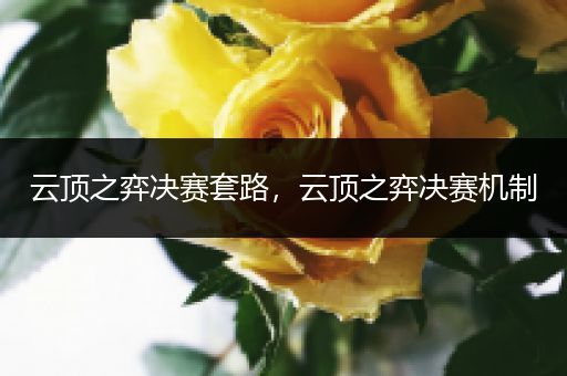 云顶之弈决赛套路，云顶之弈决赛机制
