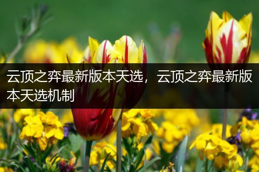 云顶之弈最新版本天选，云顶之弈最新版本天选机制