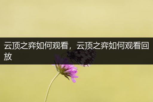 云顶之弈如何观看，云顶之弈如何观看回放