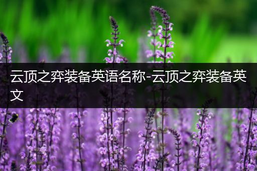 云顶之弈装备英语名称-云顶之弈装备英文