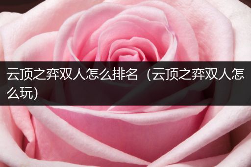 云顶之弈双人怎么排名（云顶之弈双人怎么玩）