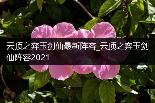 云顶之弈玉剑仙最新阵容_云顶之弈玉剑仙阵容2021