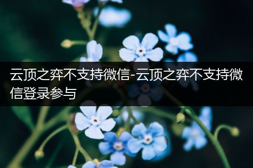 云顶之弈不支持微信-云顶之弈不支持微信登录参与