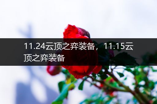 11.24云顶之弈装备，11.15云顶之弈装备