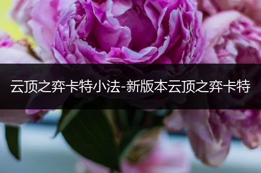 云顶之弈卡特小法-新版本云顶之弈卡特