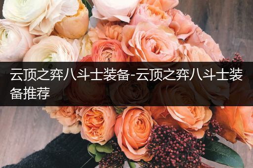 云顶之弈八斗士装备-云顶之弈八斗士装备推荐