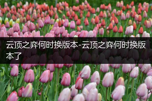 云顶之弈何时换版本-云顶之弈何时换版本了