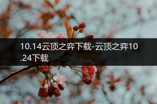 10.14云顶之弈下载-云顶之弈10.24下载
