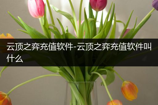 云顶之弈充值软件-云顶之弈充值软件叫什么
