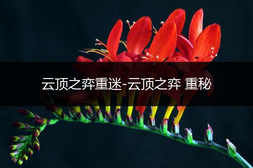 云顶之弈重迷-云顶之弈 重秘