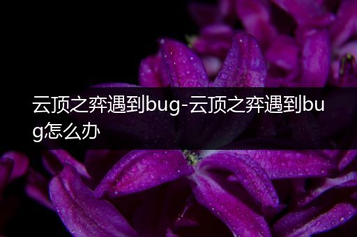 云顶之弈遇到bug-云顶之弈遇到bug怎么办