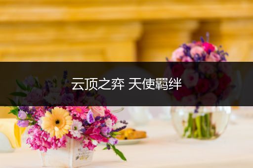 云顶之弈 天使羁绊