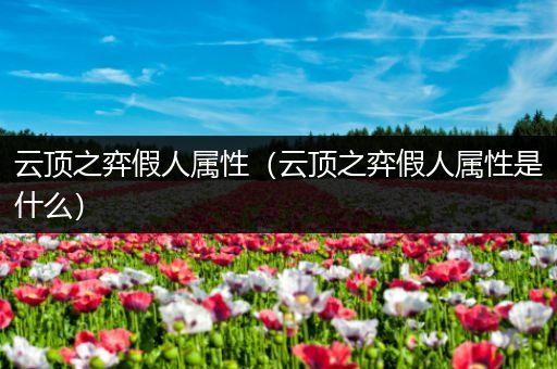 云顶之弈假人属性（云顶之弈假人属性是什么）