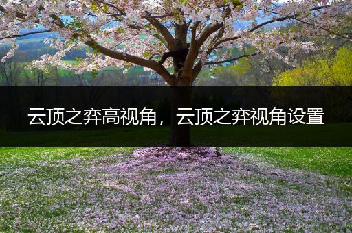 云顶之弈高视角，云顶之弈视角设置