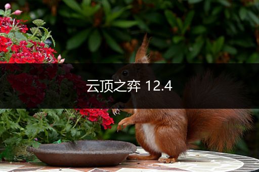 云顶之弈 12.4