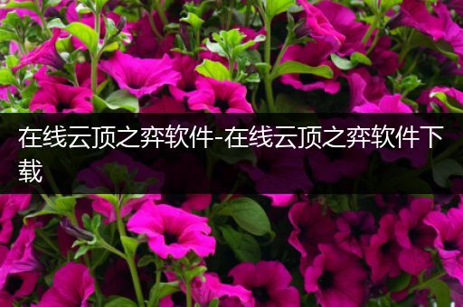 在线云顶之弈软件-在线云顶之弈软件下载