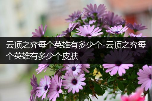 云顶之弈每个英雄有多少个-云顶之弈每个英雄有多少个皮肤