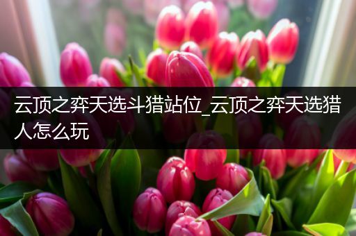 云顶之弈天选斗猎站位_云顶之弈天选猎人怎么玩