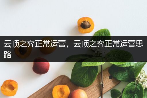 云顶之弈正常运营，云顶之弈正常运营思路