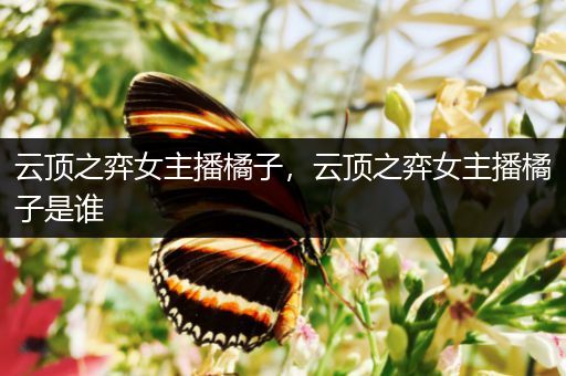 云顶之弈女主播橘子，云顶之弈女主播橘子是谁
