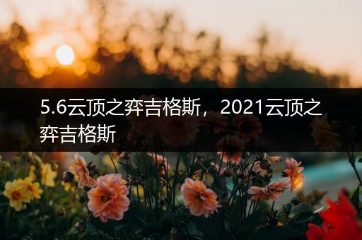 5.6云顶之弈吉格斯，2021云顶之弈吉格斯