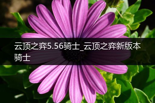 云顶之弈5.56骑士_云顶之弈新版本骑士