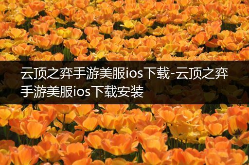 云顶之弈手游美服ios下载-云顶之弈手游美服ios下载安装