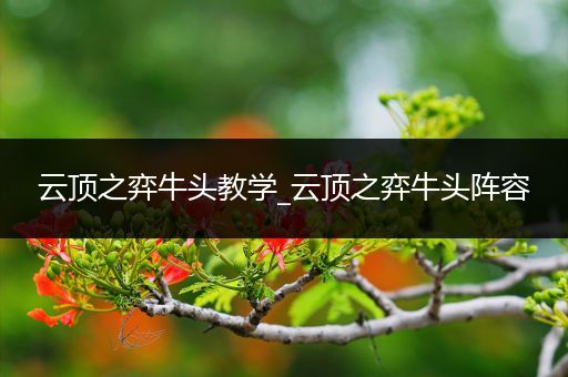云顶之弈牛头教学_云顶之弈牛头阵容