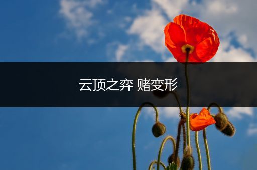 云顶之弈 赌变形