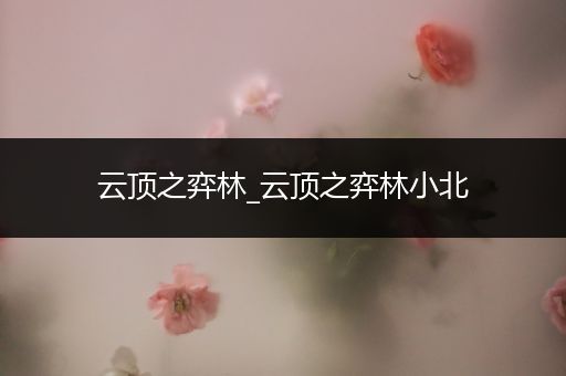云顶之弈林_云顶之弈林小北