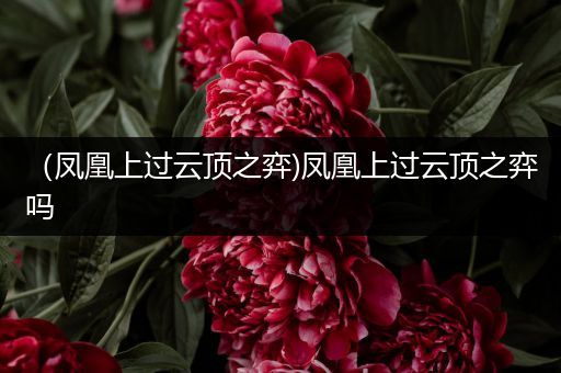 （凤凰上过云顶之弈)凤凰上过云顶之弈吗