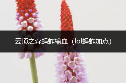 云顶之弈蚂蚱输血（lol蚂蚱加点）