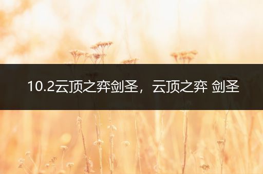 10.2云顶之弈剑圣，云顶之弈 剑圣