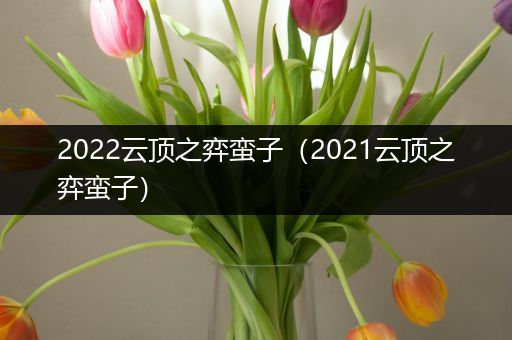 2022云顶之弈蛮子（2021云顶之弈蛮子）