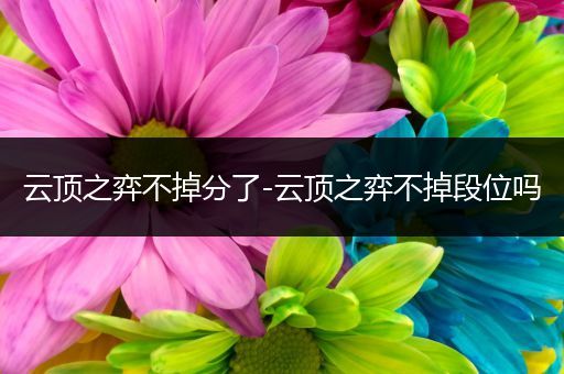 云顶之弈不掉分了-云顶之弈不掉段位吗